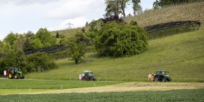 Landwirtschaft