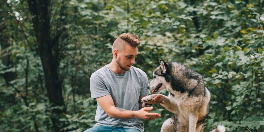 Mann mit Hund