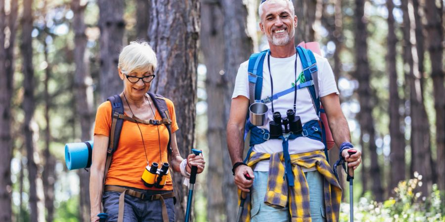 Mittelaltes Paar wandert im Wald