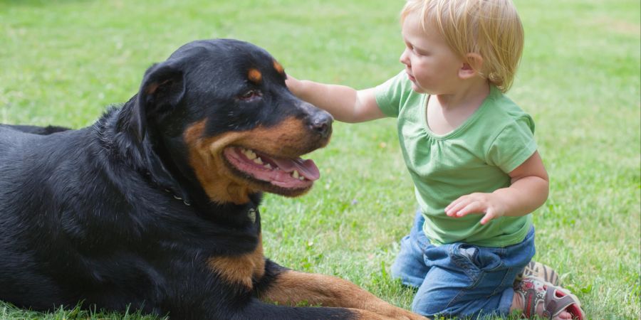 Gemeinsame Aktivitäten, aber auch Pausen sind wichtig beim Zusammenleben von Kind und Hund.
