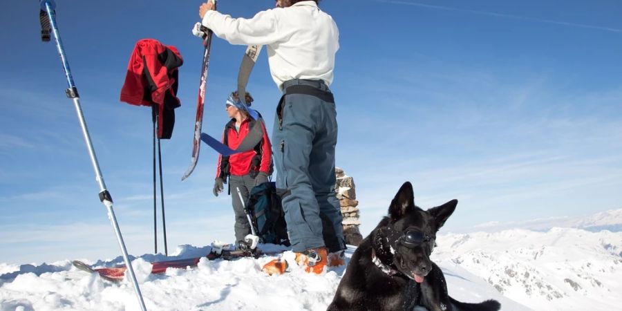 Alpinen Rettung Schweiz