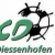 Logo FC Diessenhofen
