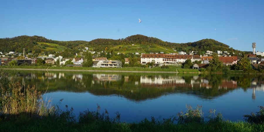 Der Klingnauer Stausee mit Blick auf die Gemeinde Döttingen AG.