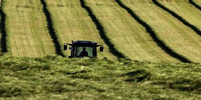 ARCHIV - 30.05.2021, Bayern, Stötten: Ein Traktor fährt im Abendlicht über eine gemähte Wiese. Agrarreform