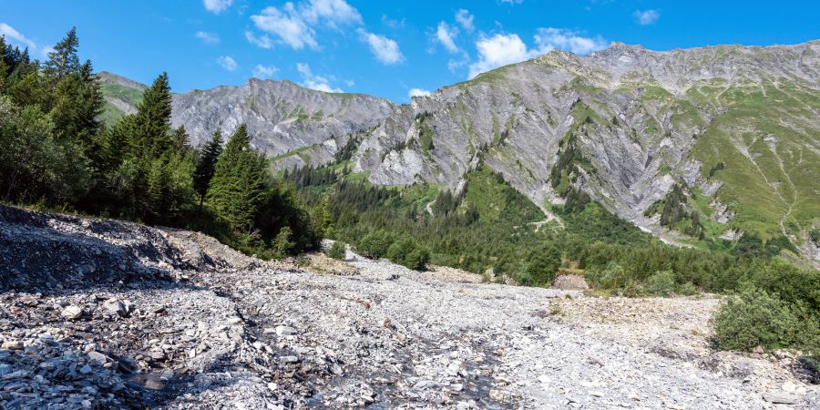 Der Allenbach mit viel Geschiebe oberhalb von Adelboden.