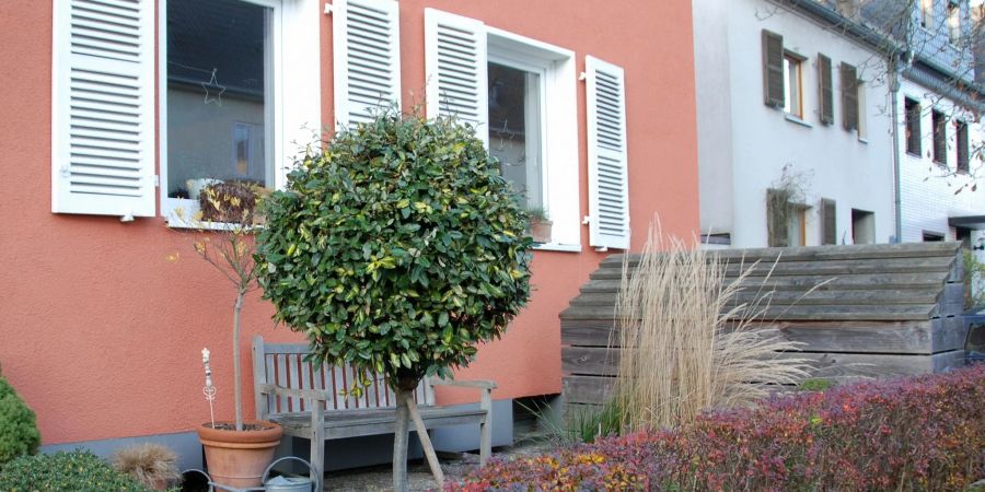 Oft passt selbst in einen noch so kleinen Garten ein Baum.