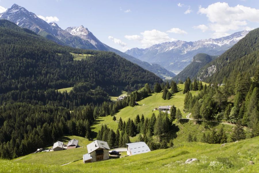 Am Montag ereignete sich am Berninapass ein tödlicher Verkehrsunfall.