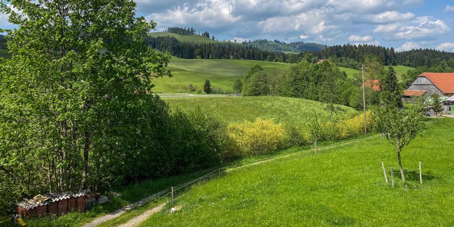 Entlebucher Landschaft aus dem Zug heraus gesehen.