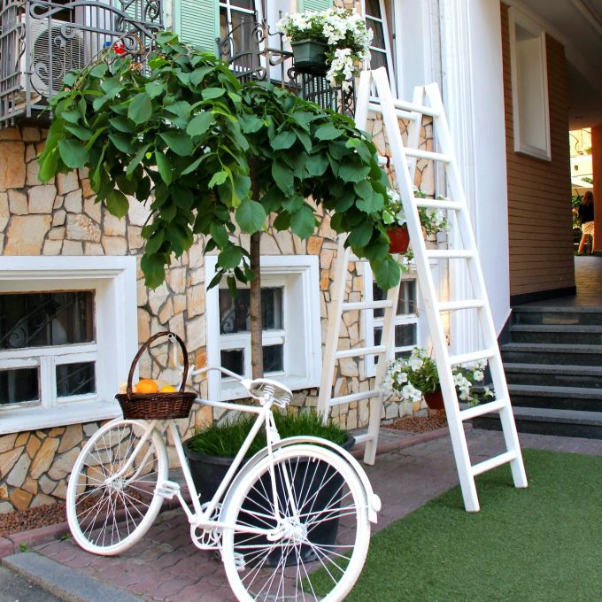 Macht sich gut neben dem Velo: ein Baum. Velo Baum Haus Leiter