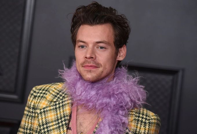 Harry Styles ist mit Regisseurin Olivia Wilde liiert. Jordan Strauss/Invision/AP/dpa Harry Styles