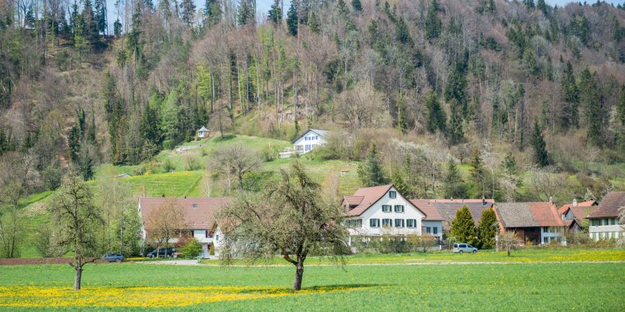 Die Ortschaft Zell im Bezirk Winterthur.