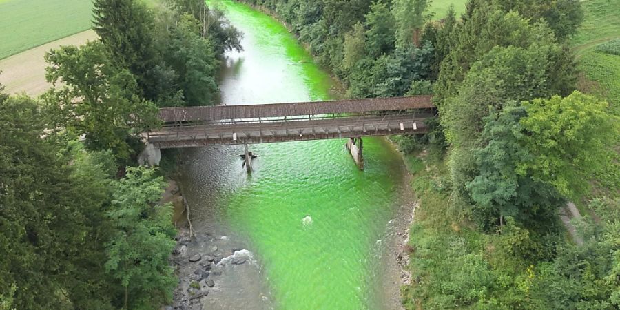 Die Sitter durch den Thurgau leuchtete am Freitag grün.