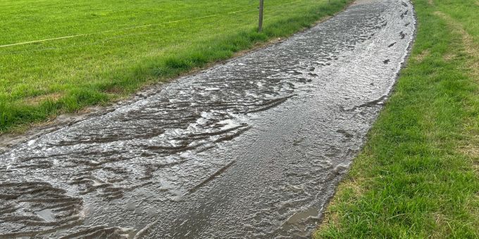 Gossau SG: Gülle verunreinigt Bach – tote Fische. Gossau SG