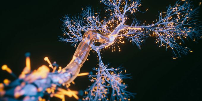 Eine Motoneuronerkrankung entsteht, wenn Nerven im Gehirn und Rückenmark, die zum Gehen, Sprechen und Atmen benötigt werden, nicht mehr richtig funktionieren. MND