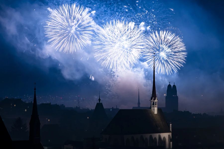 Feuerwerk sei schädlich für Mensch, Tier und Umwelt, betont Corinne Meister vom Initiativkomitee der eidgenössischen Volksinitiative «Für eine Einschränkung von Feuerwerk». (Symbolbild)