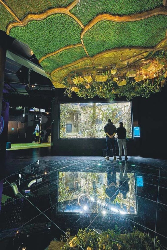 Die Ausstellungen im Aquatis führen durch fünf Kontinente. Aquatis