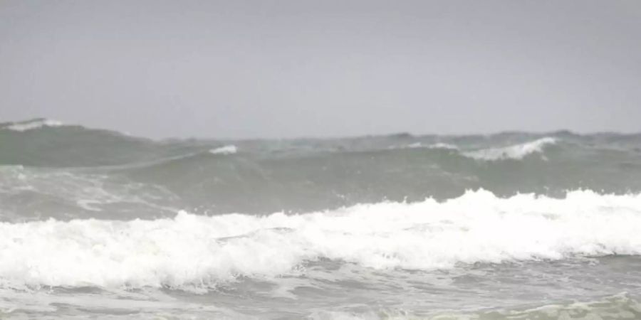 Hund Abbie Girl nahm am Loews-Hunde-Surfwettbewerb am Imperial Beach in Kalifornien teil. Foto: picture alliance / dpa