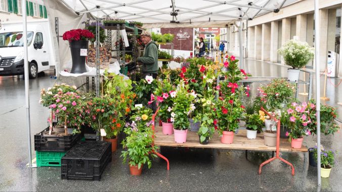 Ein Blumenmeer am Stand in der Kirchgasse.