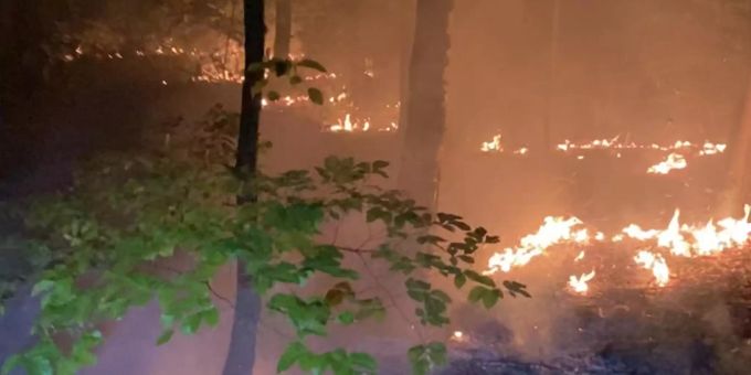 Arlesheim BL: Waldbodenbrand erfordert Feuerwehreinsatz.