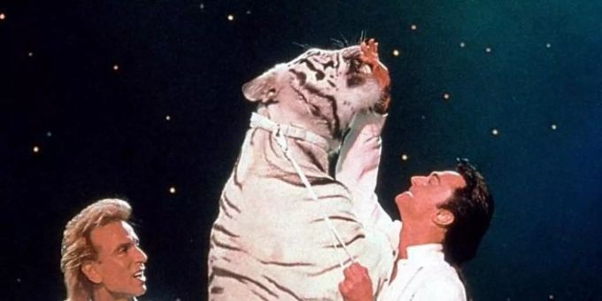 Die Dokumentation «Siegfried und Roy – Ein Leben für die Illusion» ist bald zu sehen. Siegfried und Roy