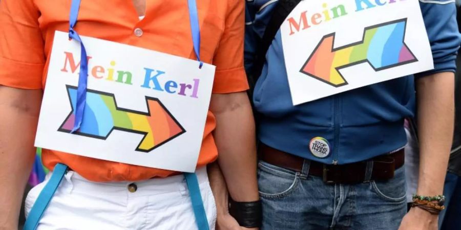 Teilnehmer beim Christopher Street Day (CSD) 2015 in Berlin. Foto: Britta Pedersen/dpa-Zentralbild/dpa