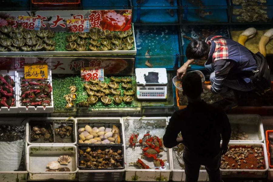 Szenen von einem Grossmarkt in Südchina: Ein Stand für den Verkauf von Schildkröten. (Archivbild)