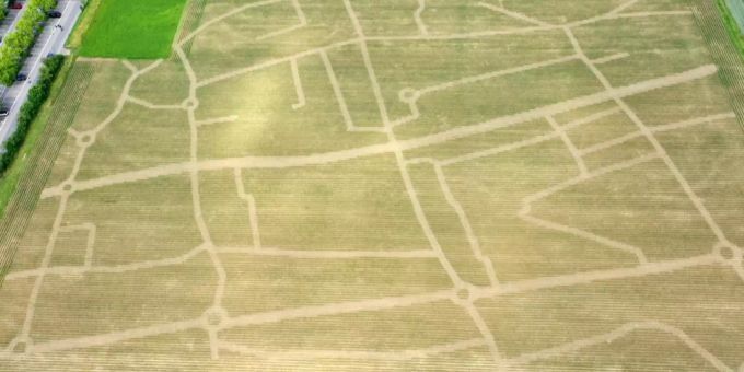Maislabyrinth Wettingen. Maislabyrinth Wettingen