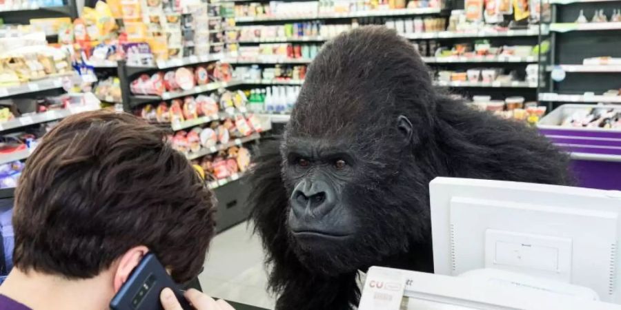 Kommt ein «Gorilla» ins Geschäft... Foto: --/Capelight Pictures/dpa
