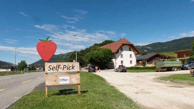 Selbst pflücken ist zum Trend geworden.