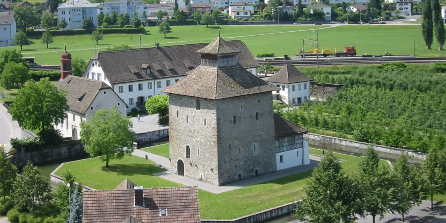 Die Schlossanlage in Pfäffikon SZ.