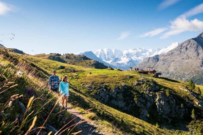 Mit oder ohne Steinböcke: die Alp Languard lockt mit malerischen Wanderwegen. Die Alp Languard be Pontresina.
