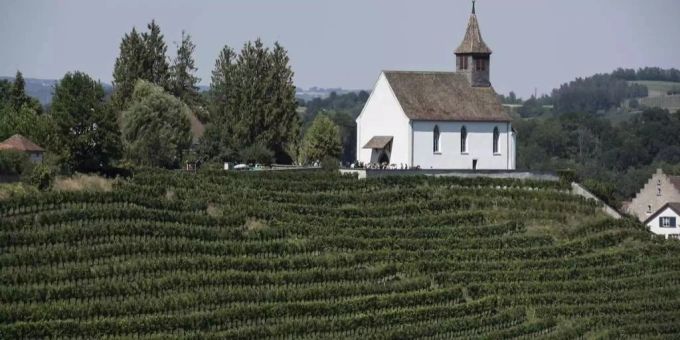 Blick auf das Zürcher Weinland. Zürcher Weinland