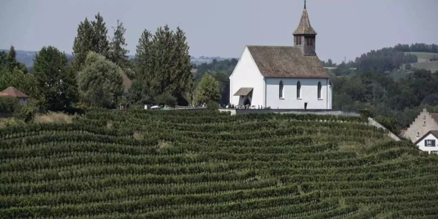 Zürcher Weinland