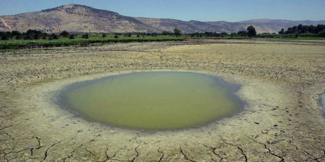 el niño