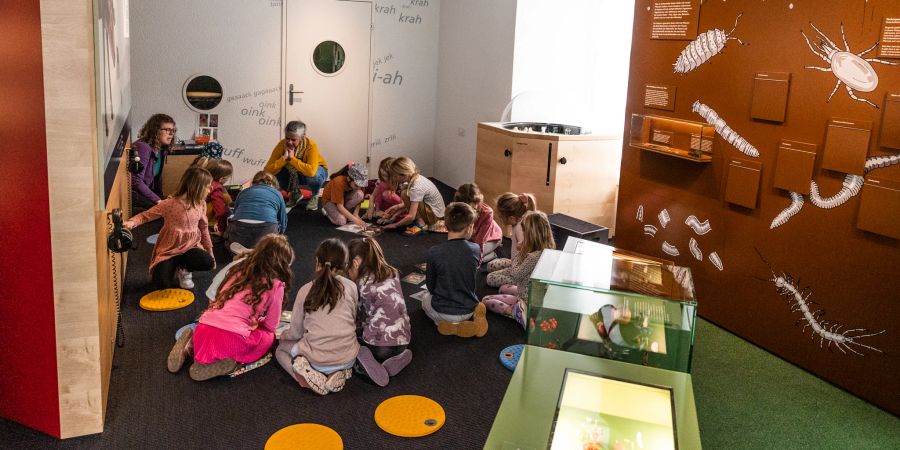 Den Kindern wurde interaktiv Wissen über Schmetterlinge beigebracht.