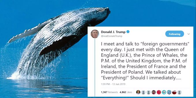 Die originale Fassung des Tweets von Donald Trump. Donald Trump Wales