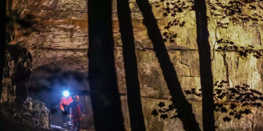 Die Falkensteiner Höhle ist mit etwa fünf Kilometern Länge eine der längsten Höhlen der Schwäbischen Alb. Foto: Christoph Schmidt