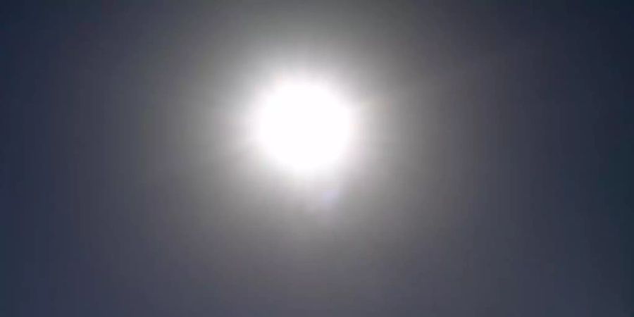 In einem geschlossenen Auto steigen die Temperatuen ohne Klimaanlage bei Sonnenschein in wenigen Minuten rapide an. Foto: Peer Grimm