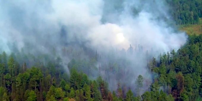 Seit Wochen wüten heftige Waldbrände in Sibirien. Waldbrände Sibirien
