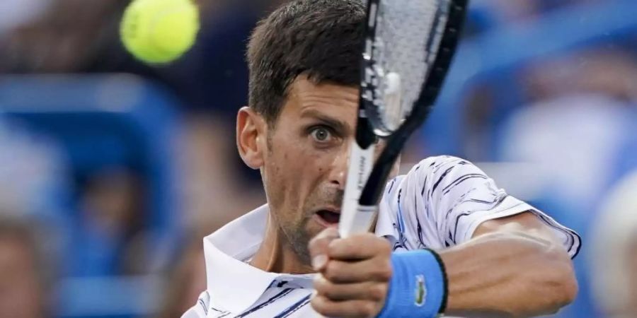 Für die Finalrunde im Davis Cup eingeplant: Novak Djokovic. Foto: John Minchillo/AP