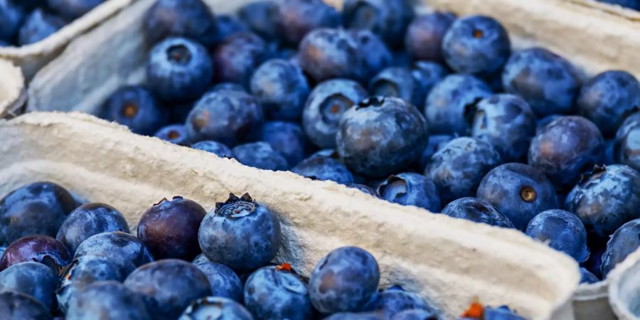 Essen Blaubeeren