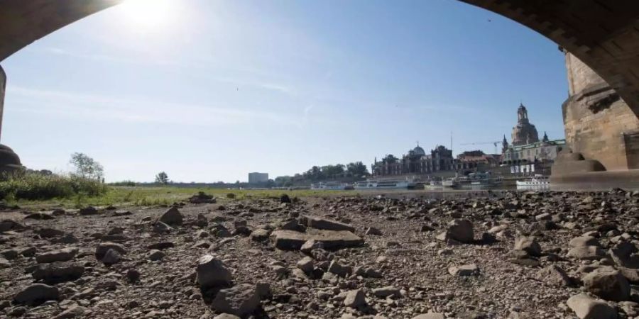 Ausgetrocknetes Flussbett am Ufer der Elbe vor der Dresdener Altstadt. Zu viel Sonne und zu wenig Regen haben die Pegel in vielen Flüssen erheblich sinken lassen.