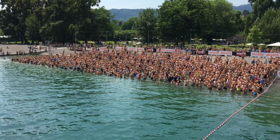 Die Schwimmer sind bereit für die Zürichsee-Überquerung.