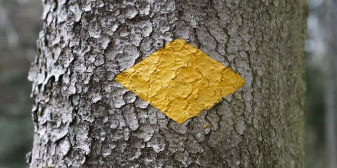 Eine Markierung an einem Baum, welche die Richtung des Wanderwegs anzeigt. Wanderer Tod Goldingen