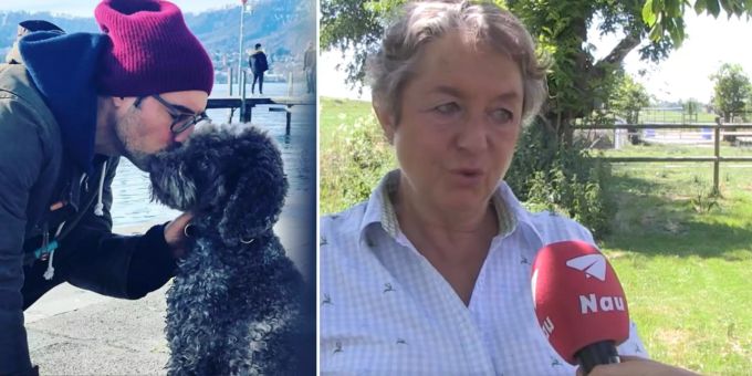Arme Tiere - Expertin erklärt: So leiden Hunde bei Scheidung