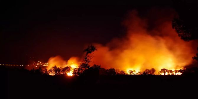 Waldbrand