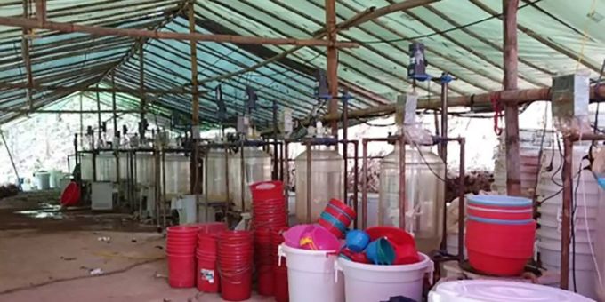 Drogenlabor im Dschungel von Myanmar. Myanmar (Birma)