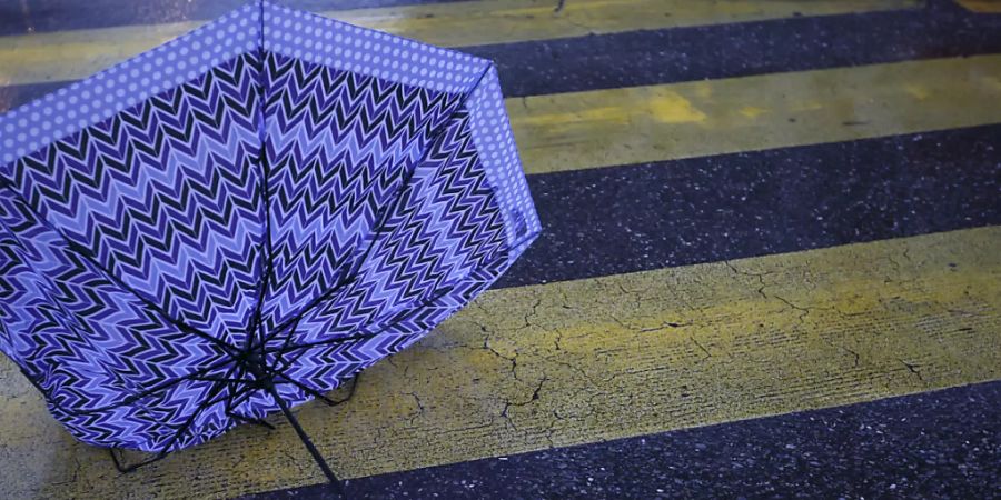 Regenschirm