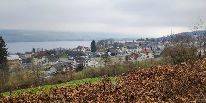 Sicht auf das Dorf in Beinwil am See. Sicht auf das Dorf in Beinwil am See.