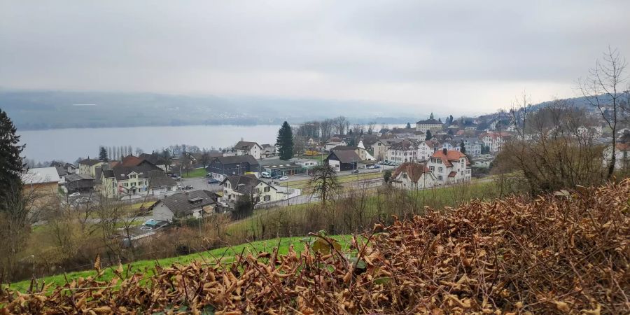 Sicht auf das Dorf in Beinwil am See.